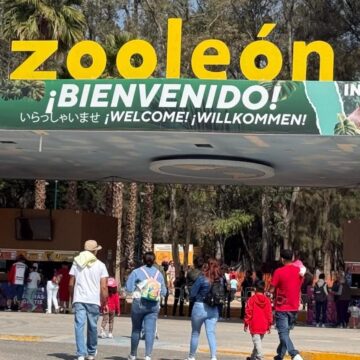 zoo-LEON Nueva directora del Zoo León llega con un reto claro: recuperar confianza y acreditaciones.