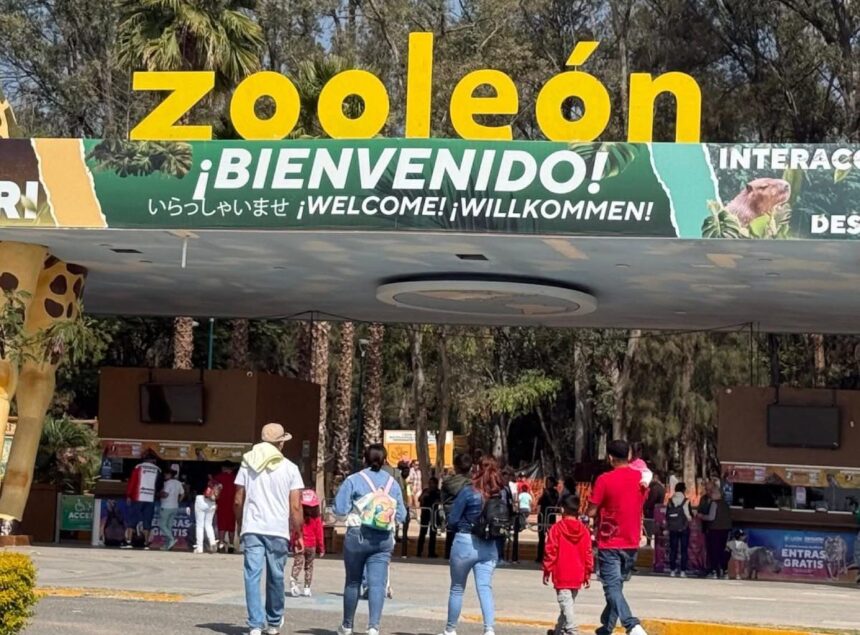 zoo-LEON Nueva directora del Zoo León llega con un reto claro: recuperar confianza y acreditaciones.