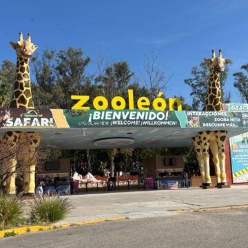 Polémica en el Zoológico de León: Auditoría revela crisis por sobrepoblación y desplome de visitas