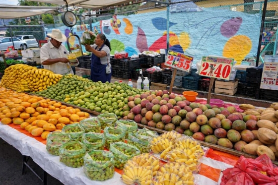 image_1784067063584 El mal clima impacta el bolsillo: lluvias disparan el precio de las frutas en mercados locales