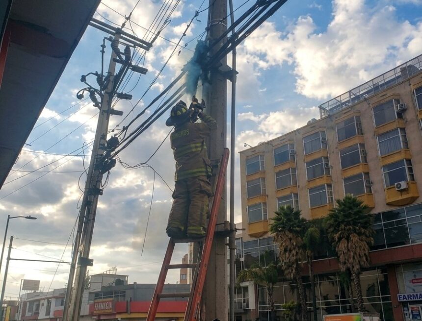 descarga (2) Fuerte movilización de bomberos por incendio de palmera en el bulevar Adolfo López Mateos